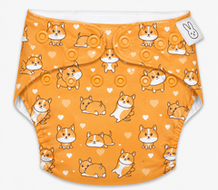 UNO Regular Cloth Diaper with only Dry Feel Pad (No Booster) - Hunny Bummy (Copy) (Copy) (Copy) (Copy)